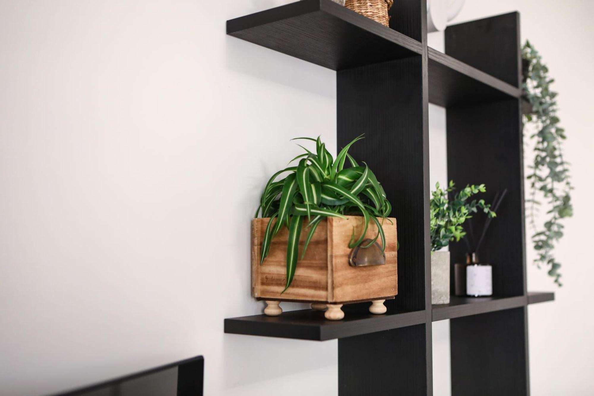 דירות סלרנו Smart House Ingresso Indipendente- Amalfi Coast מראה חיצוני תמונה
