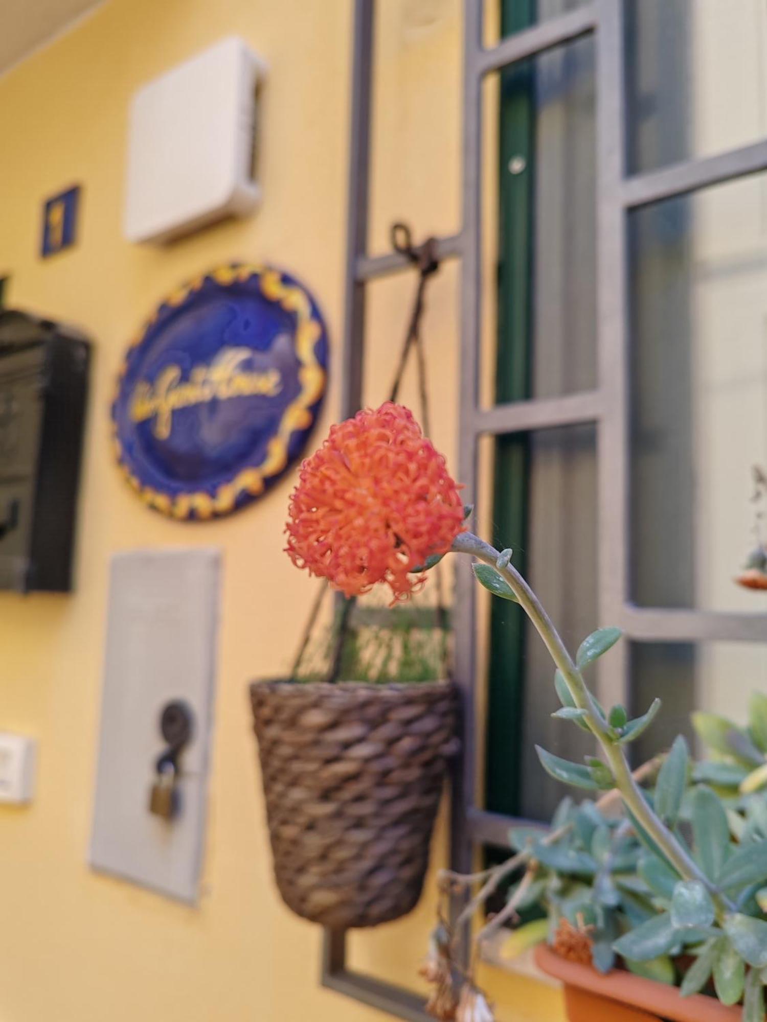 דירות סלרנו Smart House Ingresso Indipendente- Amalfi Coast מראה חיצוני תמונה
